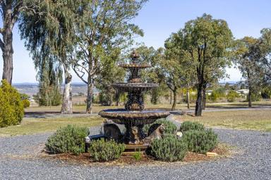 Lifestyle For Sale - QLD - Mount Marshall - 4362 - "Currawong" - The Country Lifestyle You've Been Dreaming Of!  (Image 2)