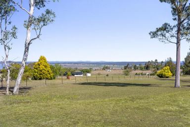 Lifestyle For Sale - QLD - Mount Marshall - 4362 - "Currawong" - The Country Lifestyle You've Been Dreaming Of!  (Image 2)