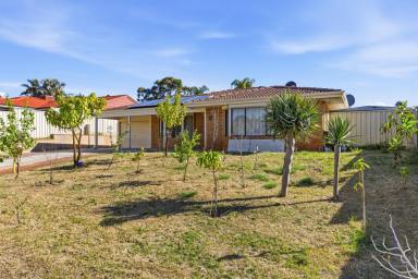 House For Sale - WA - Alexander Heights - 6064 - One Title. Two Homes. Endless Possibilities. (Image 2)