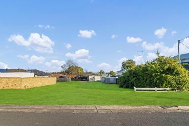Residential Block For Sale - NSW - Elderslie - 2570 - 904m2 BLANK CANVAS, BUILD YOUR DREAM HOME, NICE LOCATION, LEVEL, ALL SERVICES . (Image 2)