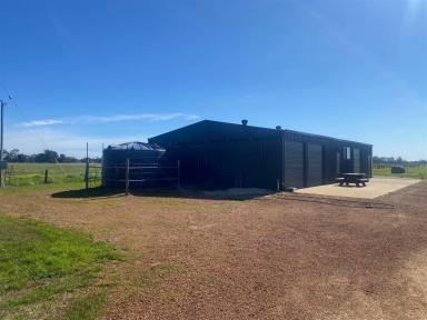 Mixed Farming For Sale - WA - Uduc - 6220 - Southwest Wonder in Uduc  (Image 2)