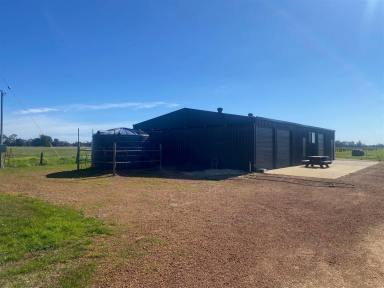 Mixed Farming For Sale - WA - Uduc - 6220 - Southwest Wonder in Uduc  (Image 2)