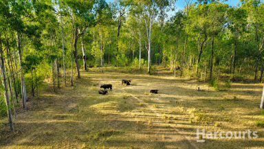 Residential Block For Sale - QLD - Kullogum - 4660 - The Ultimate 100-Acre Escape: Your Weekend Retreat or Hobby Farm Haven  (Image 2)