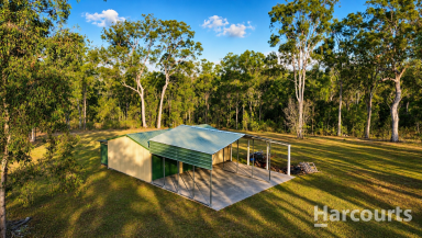 Residential Block For Sale - QLD - Kullogum - 4660 - The Ultimate 100-Acre Escape: Your Weekend Retreat or Hobby Farm Haven  (Image 2)