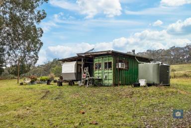 Lifestyle For Sale - VIC - Forrest - 3236 - Space to Breathe, Room to Explore...  (Image 2)