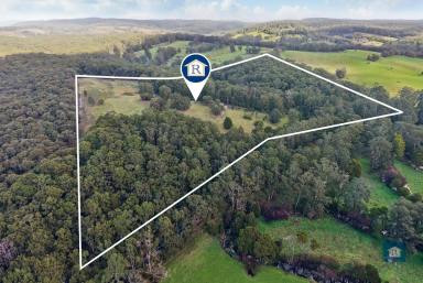 Lifestyle For Sale - VIC - Forrest - 3236 - Space to Breathe, Room to Explore...  (Image 2)