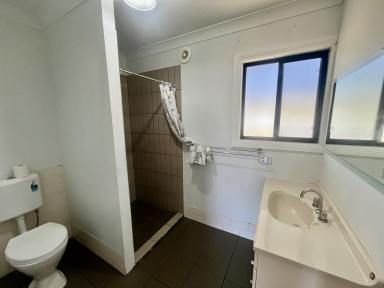 House For Lease - NSW - Kungala - 2460 - HOME & HORSE PADDOCKS  (Image 2)