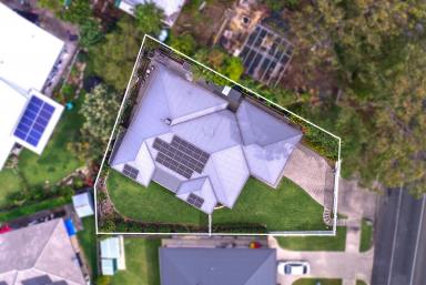 House For Sale - QLD - Cooroy - 4563 - Elite Family Living in the Heart of Cooroy Township  (Image 2)