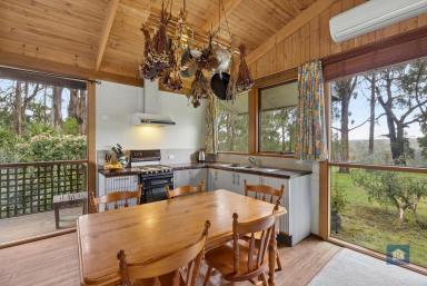 House For Sale - VIC - Barwon Downs - 3243 - Rustic Charm Among the Gum Trees…  (Image 2)