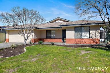 House For Sale - WA - Atwell - 6164 - Space for Today. Potential for Tomorrow!  (Image 2)