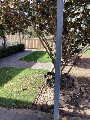 House For Lease - WA - Ravensthorpe - 6346 - Lovely House in a quiet area (Image 2)