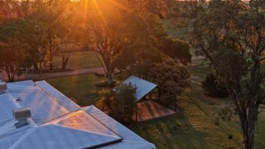 Other (Rural) Auction - NSW - Moree - 2400 - 'Jallaroo' - A Rare Opportunity on 55.67ha (Image 2)