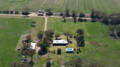 Other (Rural) Auction - NSW - Moree - 2400 - 'Jallaroo' - A Rare Opportunity on 55.67ha (Image 2)