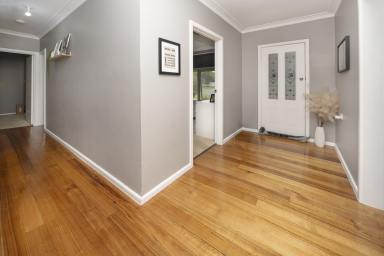 House For Sale - VIC - Nyah - 3594 - Escape the Noise. Embrace the Life.  (Image 2)