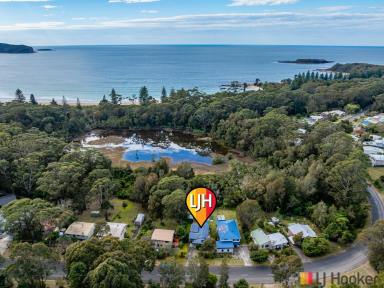 House For Sale - NSW - South Durras - 2536 - 'Where the Bush Meets the Beach' - Beautiful Village Living Just 560m from the Sand  (Image 2)