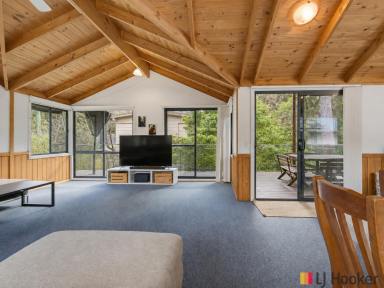 House For Sale - NSW - South Durras - 2536 - 'Where the Bush Meets the Beach' - Beautiful Village Living Just 560m from the Sand  (Image 2)