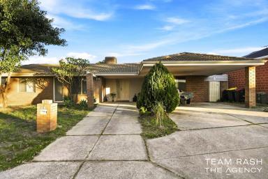 House For Sale - WA - Beechboro - 6063 - Be Open Minded & Be Quick It Won't Last!!!  (Image 2)