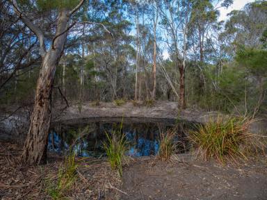 Residential Block For Sale - TAS - Bicheno - 7215 - The Retreat  (Image 2)