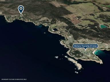Residential Block For Sale - TAS - Bicheno - 7215 - The Retreat  (Image 2)