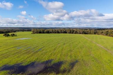 Other (Rural) For Sale - WA - Lake Jasper - 6260 - Productive Grazing Surrounded by National Park (Image 2)