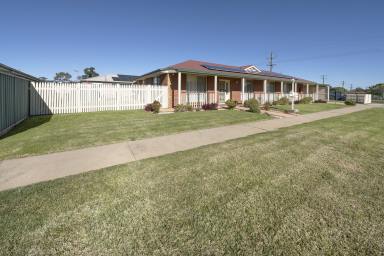 House For Sale - VIC - Swan Hill - 3585 - This one ticks all the boxes  (Image 2)
