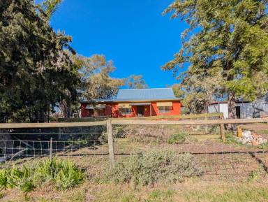 Acreage/Semi-rural For Sale - NSW - Koraleigh - 2735 - Affordable Acreage with Genuine Potential  (Image 2)