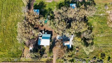 Acreage/Semi-rural For Sale - NSW - Koraleigh - 2735 - Affordable Acreage with Genuine Potential  (Image 2)