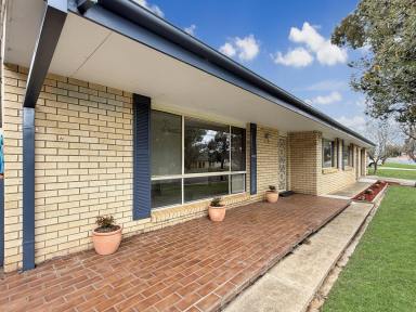 House For Sale - NSW - Young - 2594 - Investors, First home Buyers, Downsizing  (Image 2)