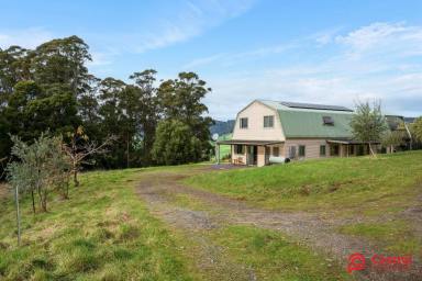 House For Sale - TAS - Gunns Plains - 7315 - A RURAL OASIS!  (Image 2)