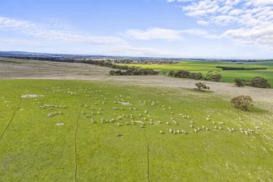 Mixed Farming For Sale - VIC - Linton - 3360 - 295 acres of grazing land in prime Linton location  (Image 2)