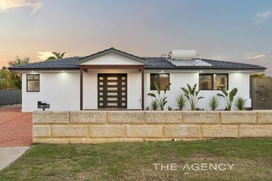 House For Sale - WA - Beldon - 6027 - RENOVATED FAMILY LIVING WITH LARGE POWERED WORKSHOP  (Image 2)