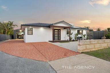 House For Sale - WA - Beldon - 6027 - RENOVATED FAMILY LIVING WITH LARGE POWERED WORKSHOP  (Image 2)