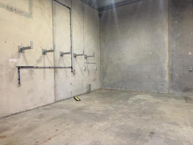 Industrial/Warehouse For Lease - NSW - Moss Vale - 2577 - 100m² Light Industrial  (Image 2)