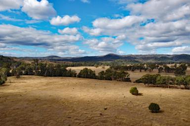 Other (Rural) For Sale - QLD - Monto - 4630 - North Burnett Irrigation & Grazing: Available as a Whole or in 2 Portions  (Image 2)
