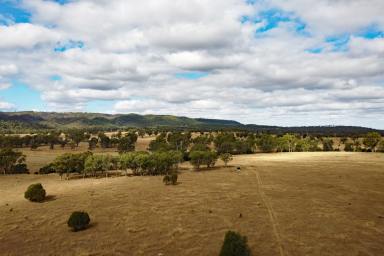 Other (Rural) For Sale - QLD - Monto - 4630 - North Burnett Irrigation & Grazing: Available as a Whole or in 2 Portions  (Image 2)
