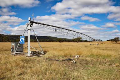 Other (Rural) For Sale - QLD - Monto - 4630 - North Burnett Irrigation & Grazing  (Image 2)