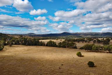 Other (Rural) For Sale - QLD - Monto - 4630 - North Burnett Irrigation & Grazing  (Image 2)