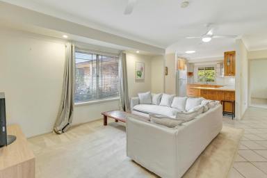 Unit For Sale - NSW - Mudgee - 2850 - SPACE MEETS POTENTIAL  (Image 2)