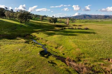 Mixed Farming Auction - NSW - Oberne Creek - 2650 - High rainfall improved grazing  (Image 2)