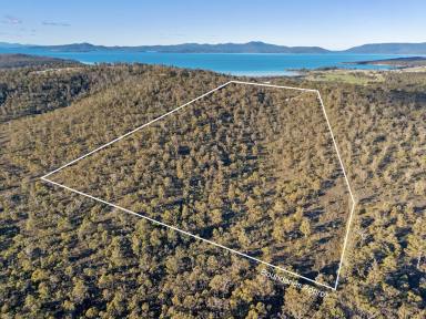 Residential Block For Sale - TAS - Saltwater River - 7186 - Peaceful Bush Retreat with Space, Privacy & Stunning Rural and Coastal Views  (Image 2)