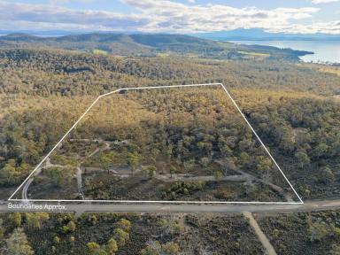 Residential Block For Sale - TAS - Saltwater River - 7186 - Peaceful Bush Retreat with Space, Privacy & Stunning Rural and Coastal Views  (Image 2)