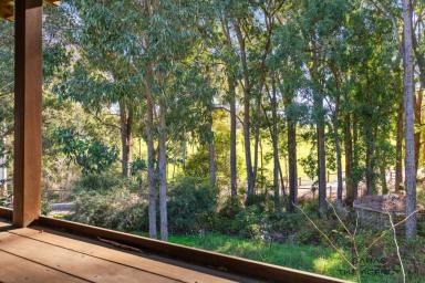 Acreage/Semi-rural For Sale - WA - Roleystone - 6111 - BIG DREAMS. BIG LAND. YOUR ACREAGE LIFESTYLE STARTS HERE.  (Image 2)