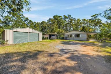 House For Sale - QLD - The Palms - 4570 - Peace, Privacy & the Perfect Small Acreage Lifestyle  (Image 2)