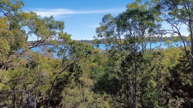 Residential Block For Sale - QLD - Macleay Island - 4184 - Build by the Water – Perulpa Island  (Image 2)