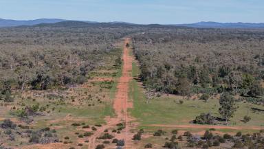 Mixed Farming For Sale - NSW - Nymagee - 2831 - The Modern Grazing Asset  (Image 2)