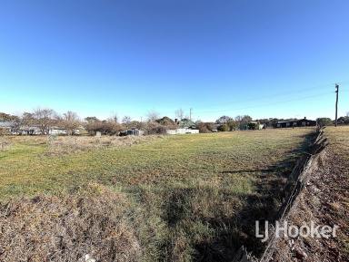 Residential Block For Sale - NSW - Bundarra - 2359 - Affordable Building block  (Image 2)