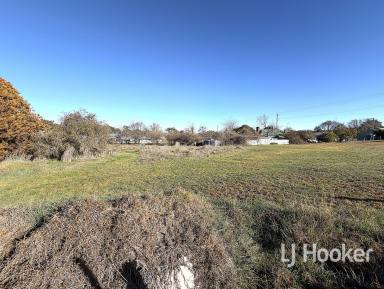 Residential Block For Sale - NSW - Bundarra - 2359 - Affordable Building block  (Image 2)