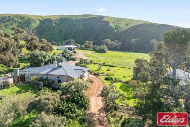 Mixed Farming For Sale - SA - Cambrai - 5353 - "BUNDILLA"  - You'll Love the Very Nature of It  (Image 2)