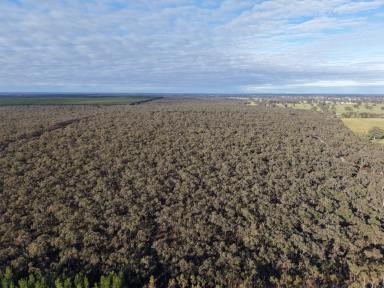 Other (Rural) For Sale - VIC - Edenhope - 3318 - Nature & Lifestyle Opportunity  (Image 2)