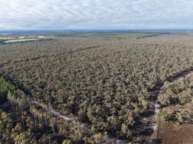 Other (Rural) For Sale - VIC - Edenhope - 3318 - Nature & Lifestyle Opportunity  (Image 2)